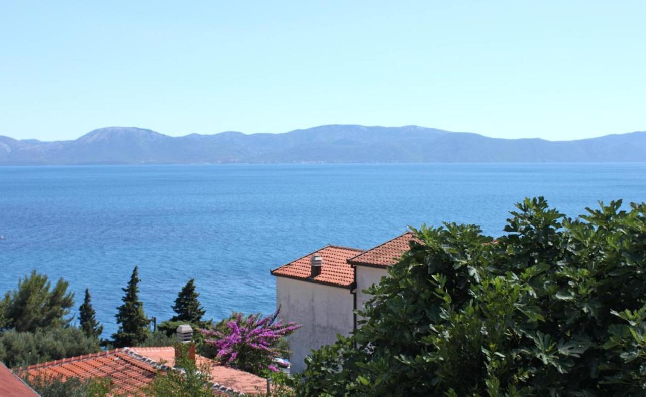 Vila Stefan Ξενοδοχείο Podaca Εξωτερικό φωτογραφία