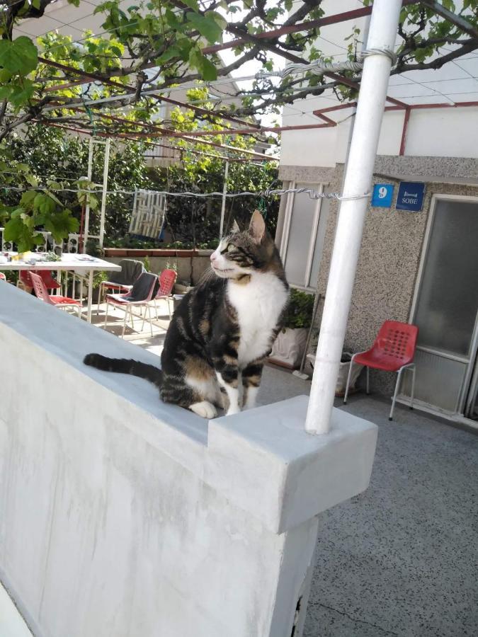 Vila Stefan Ξενοδοχείο Podaca Εξωτερικό φωτογραφία